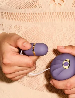 Amaysin Couple's Pleasure Box - Christmas Calendar - Satisfyers