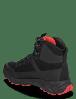 COLE HI W - Varmfodrade skor