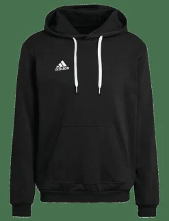 ENT22 HOODY - Huvtröjor