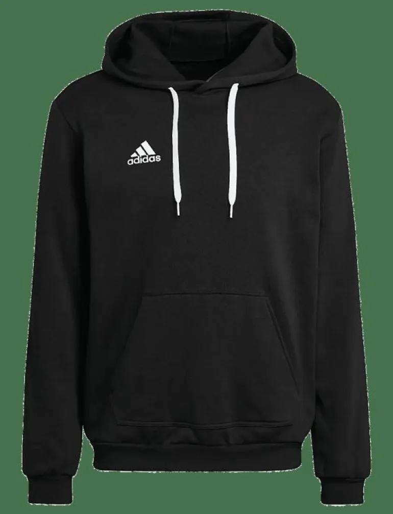 ENT22 HOODY - Huvtröjor