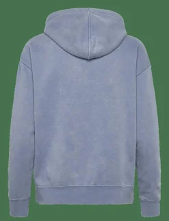 ESS ELEVATED Relaxed Wash Hoodie FL - Huvtröjor