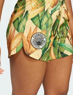 FARM SHORTS - Träningsshorts