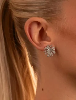 Holly sparkling small ear s/clear - Onesize - Studs örhängen