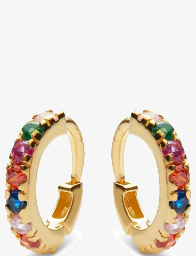 Nubia Color Earring - Hoops