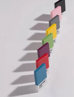 PANTONE CREDITCARD HOLDER IN MATTE AND GIFTBOX - Korthållare