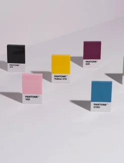 PANTONE CREDITCARD HOLDER IN MATTE AND GIFTBOX - Korthållare