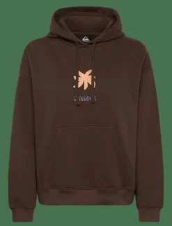 STANDARD HOODIE - Huvtröjor