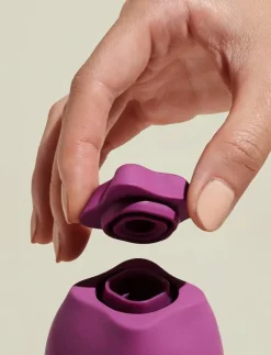 The Poet - Satisfyers