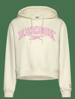 VARSITY ARCH FLEECE HOODIE - Huvtröjor