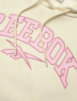 VARSITY ARCH FLEECE HOODIE - Huvtröjor